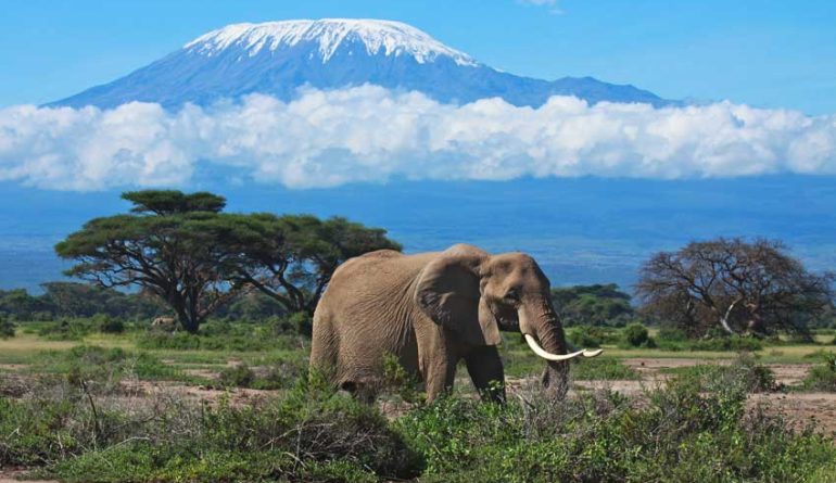 mount-kilimanjaro-1Amboseli