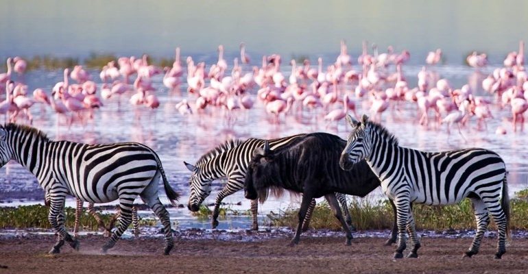 lake-nakuru-national-park