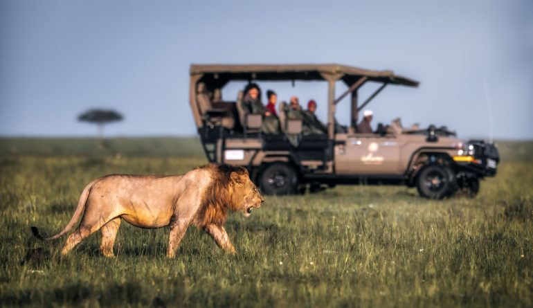 SafariExperience